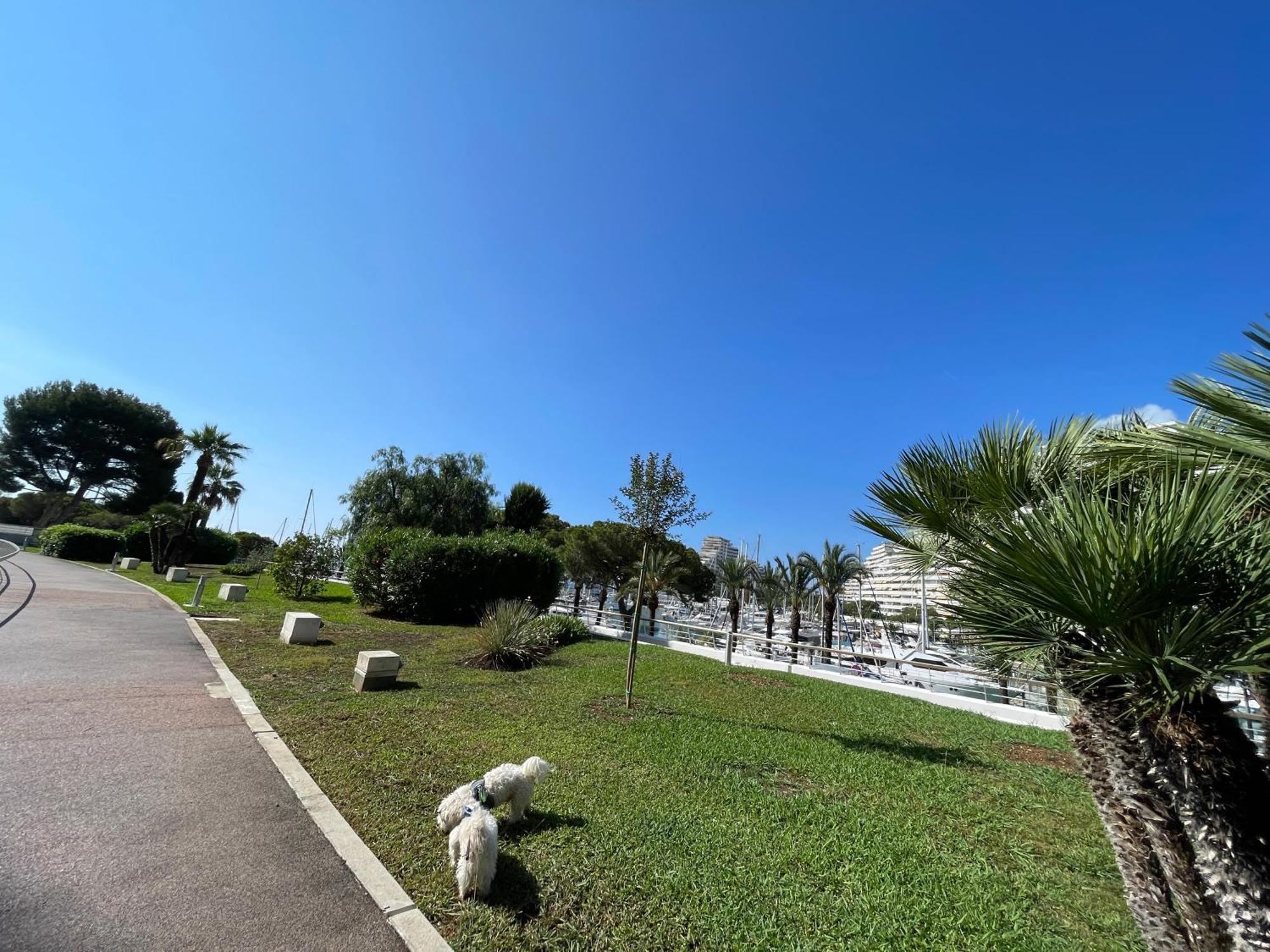 Studio A 2 Pas De La Plage Villeneuve-Loubet Extérieur photo